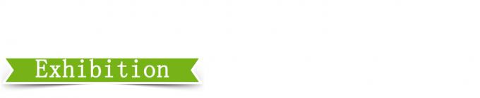 Pressão de vulcanização de placas de alta precisão de controlo de 25 T 4