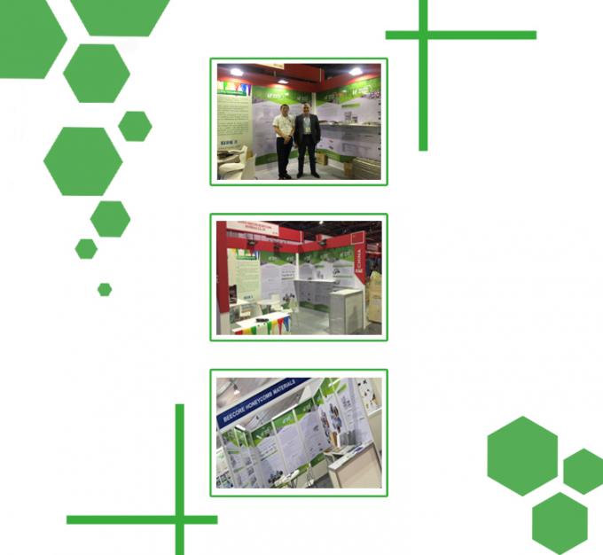 Pressão de vulcanização de placas de alta precisão de controlo de 25 T 5