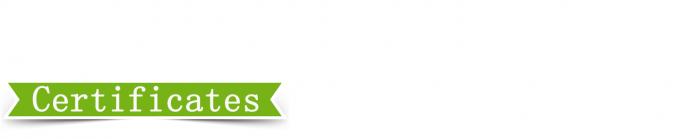 Pressão de vulcanização de placas de alta precisão de controlo de 25 T 6