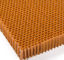 resistência de corrosão proeminente do núcleo de Nomex do favo de mel de 3.2mm 4.8mm 9.5mm